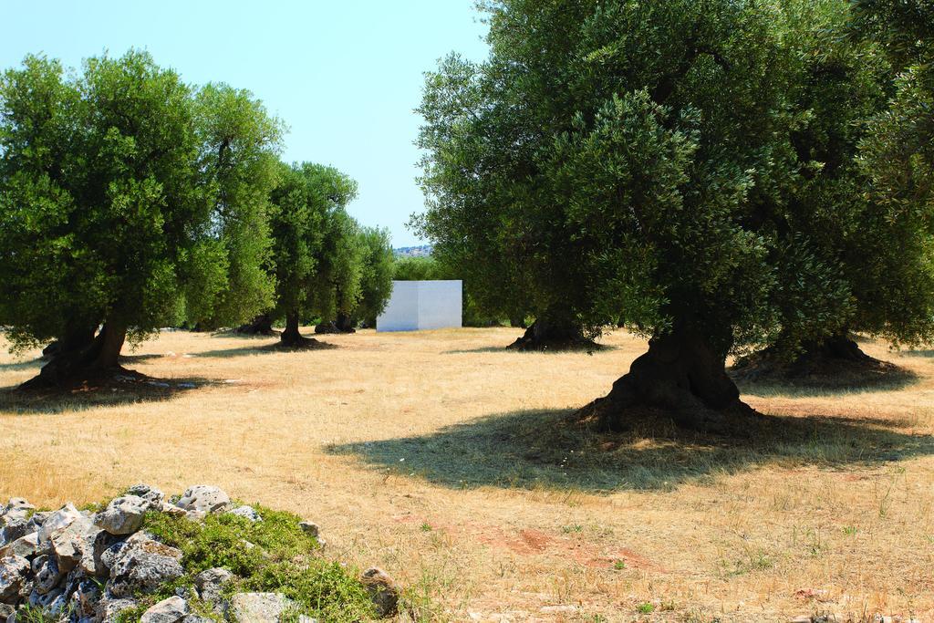 Bed Biancaneve Centro Storico Ostuni Ruang foto